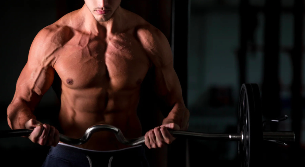 Peptides for Muscle Mass